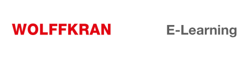 N and S logo